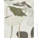 Erismann      Secret Garden 12240-26 1,06x10,05 