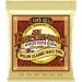       Ernie Ball 2069 Earthwood Folk Nylon Ball End Clear and Gold