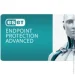    Eset PROTECT Advanced  . . 30   1year Business (EPAL_30_1_B)