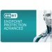    Eset PROTECT Advanced  . . 40   2year Business (EPAL_40_2_B)