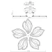 Esllse     ASTRA 60  5F 560x95   (10592)