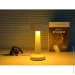   Esllse     DOWN LIGHT   2  (10316)