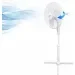  Esperanza EHF001WW Hurricane