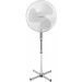  Esperanza EHF001WW Hurricane