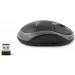  Esperanza Titanum Vulture TM116E Black/Grey