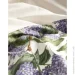 Essenza    Dirce Vanilla 2   