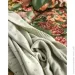 Essenza    Noleste Greenish   