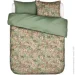Essenza    Noleste Greenish 2   