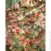 Essenza    Noleste Greenish 2   