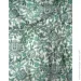 Essenza    Ophelia Greenish 2 
