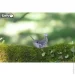  Eugy :  (XEG-033)
