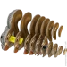  Eugy  3  :  (XEG-041)