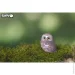  Eugy  3  :  (XEG-044)