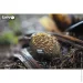  Eugy :  (XEG-058)