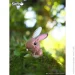  Eugy :  (XEG-071)