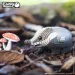  Eugy :  (XEG-094)