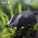  Eugy :  (XEG-094)