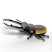  Eugy : - (XEG-114)