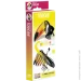  Eugy  3  :  (XEG-115)