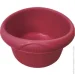 / Eurogold   Olivia  Delhi Red 20 