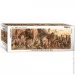  Eurographics ,   (6010-4650)