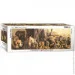  Eurographics  ,   (6010-4654)