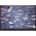  Eurographics  - (6000-0248)