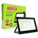 Eurolamp   100  IP65  LED-FL-100(B)