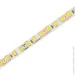 LED  Eurolamp   12  IP20  LED/ROLL-5m/4500K(120)12V