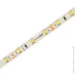 LED  Eurolamp   6  IP20  LED/ROLL-5m/4200K(120)12V