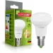   Eurolamp   6  R50  E14 220  4000  LED-R50-06144(E)