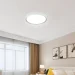 Eurolamp   72   Rexus