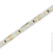 LED    Eurolamp LED/ROLL SMD5050 5 