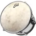       / Evans TT12C7 12" Calftone
