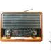 Everton    RT-306 FM/AM/SW/Bluetooth/USB   (1756375712)