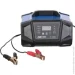 Evo Power Electric     E-10AD 10  200 /