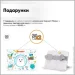    Evo-Kids    BD-28 Panda Grey