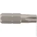 Expert Fix  Torx-Pin 30 25  1 .