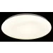 Expert Light   XH-C20-330-SS 20   4000 