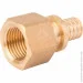  Fado      161/2" SFM21