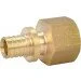  Fado      161/2" SFM21