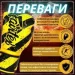  Fairtex   BGV14Y Yellow/Black 12  (  )