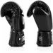  Fairtex   BGV1-ONE ( ) Black 10  (  )