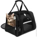 Fat Cat -   (, , )     ( : IBA020B1 )