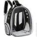 - Fat Cat   Pet Cat    (, , , ) ( : IBH007B1 )
