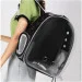 - Fat Cat   Pet Cat    (, , , ) ( : IBH007B1 )