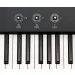 MIDI  Fatar-Studiologic SL88 Grand