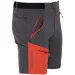 Favorite  Track Shorts 2XL  (TRSH-AN-2XL)
