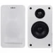  F&D R40BT White