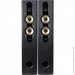   F&D T-60X Pro